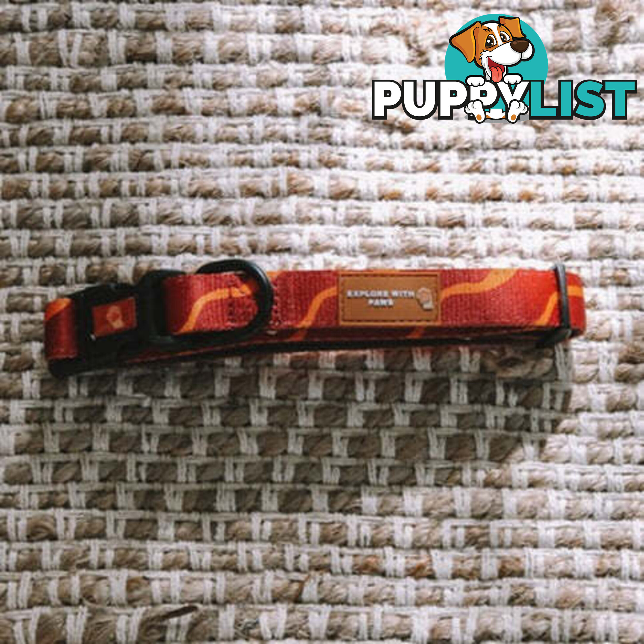 Designer Dog Collars by Explore with Paws - EWPCOLSCRON