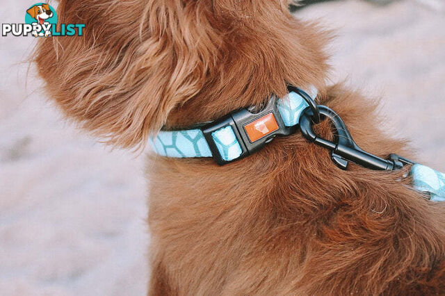Designer Dog Collars by Explore with Paws - EWPCOLSCRON