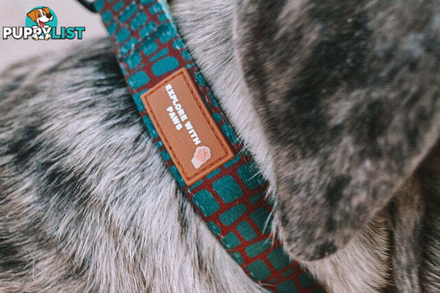 Designer Dog Collars by Explore with Paws - EWPCOLSCRON