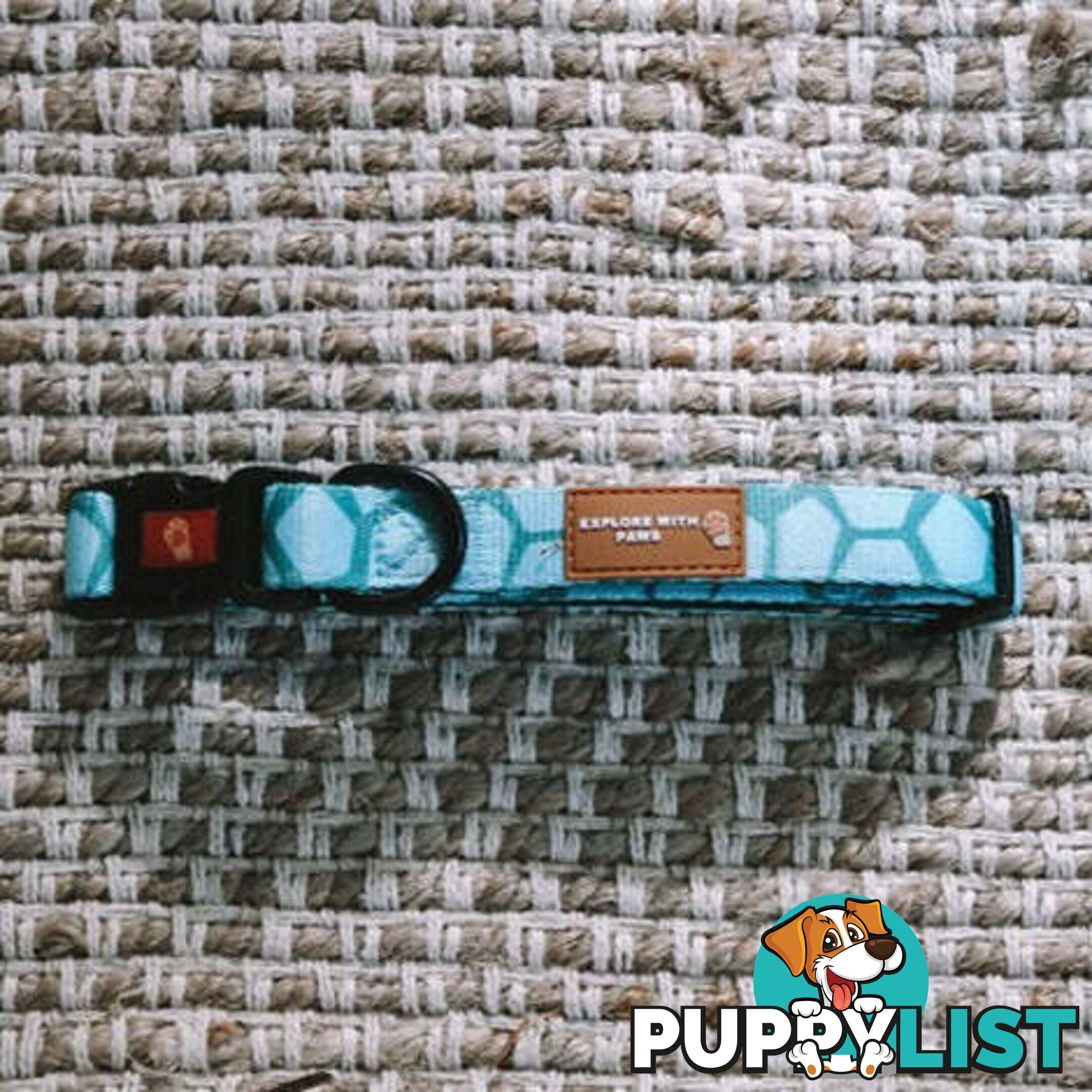 Designer Dog Collars by Explore with Paws - EWPCOLSCRON