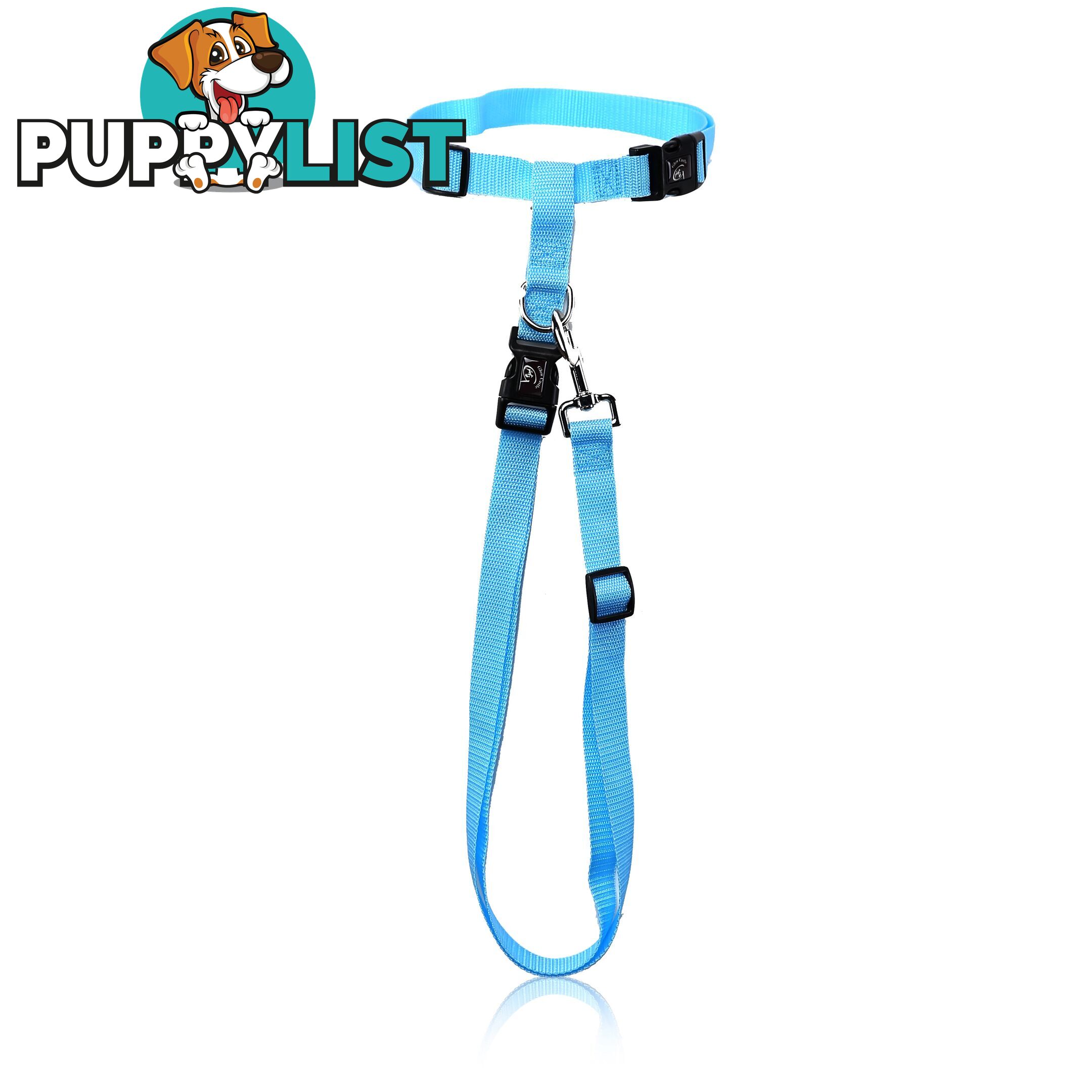 Hands Free Runner/Walker Waist Dog Leash Reflective- Moondidley Pets - MDPLDRUNPNK