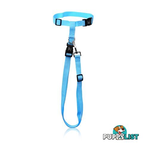 Hands Free Runner/Walker Waist Dog Leash Reflective- Moondidley Pets - MDPLDRUNPNK