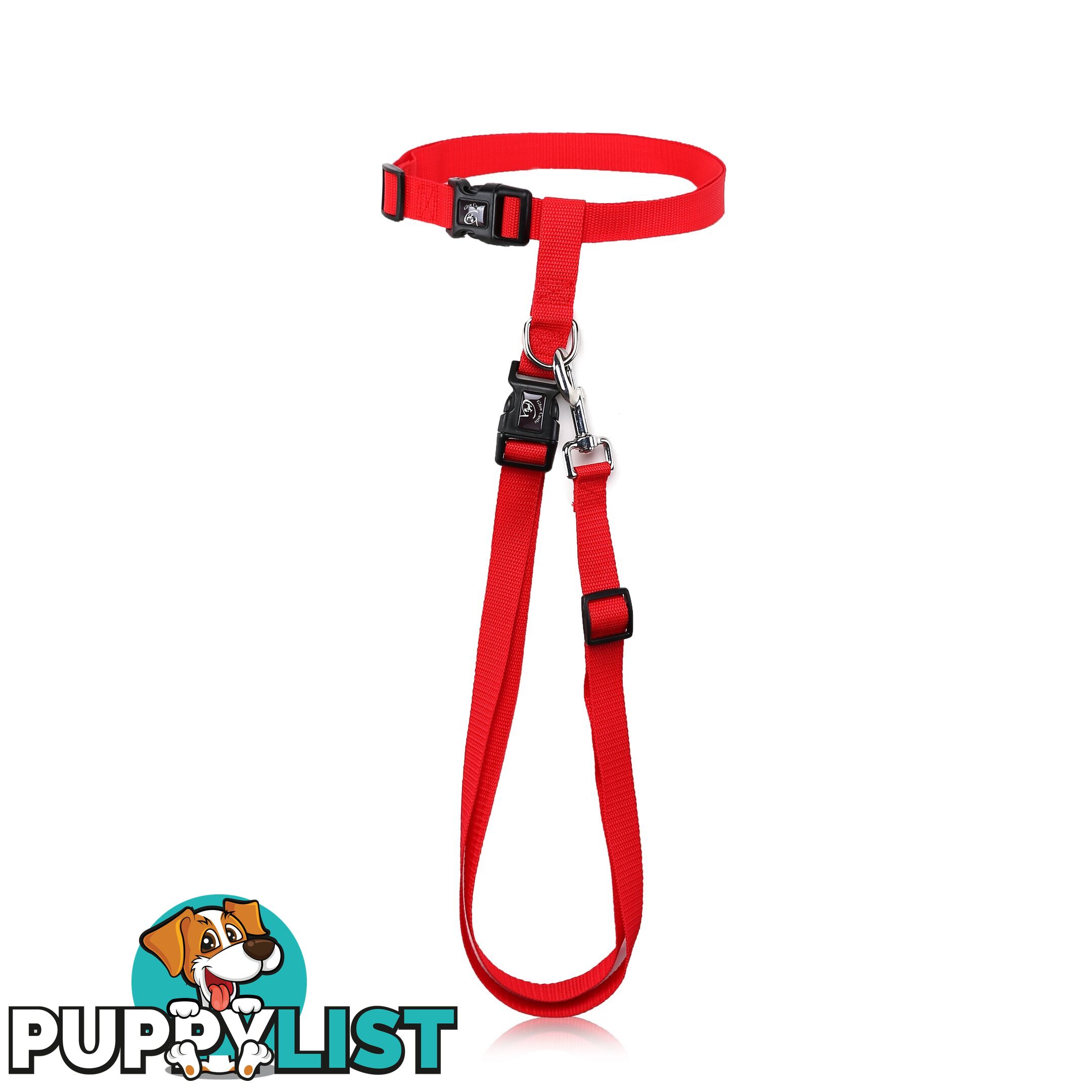 Hands Free Runner/Walker Waist Dog Leash Reflective- Moondidley Pets - MDPLDRUNPNK