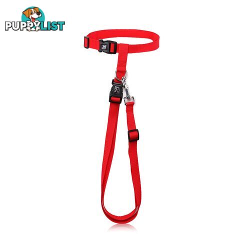 Hands Free Runner/Walker Waist Dog Leash Reflective- Moondidley Pets - MDPLDRUNPNK