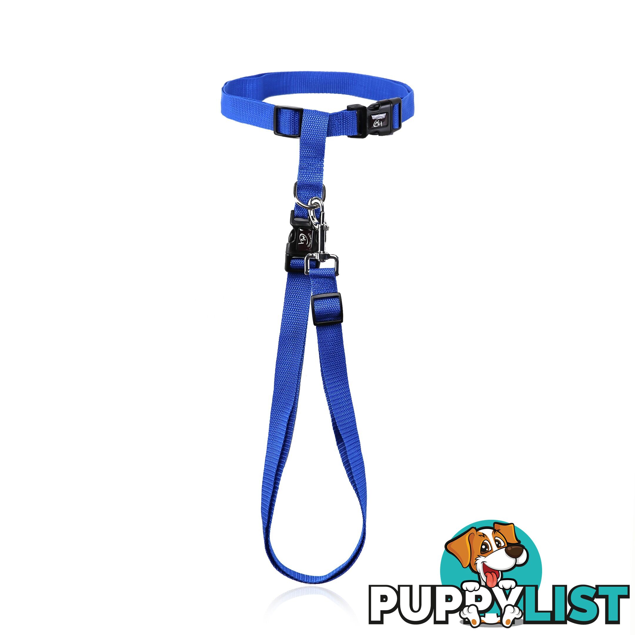 Hands Free Runner/Walker Waist Dog Leash Reflective- Moondidley Pets - MDPLDRUNPNK