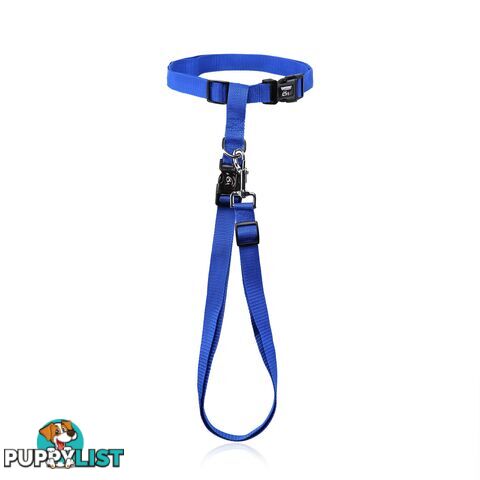 Hands Free Runner/Walker Waist Dog Leash Reflective- Moondidley Pets - MDPLDRUNPNK