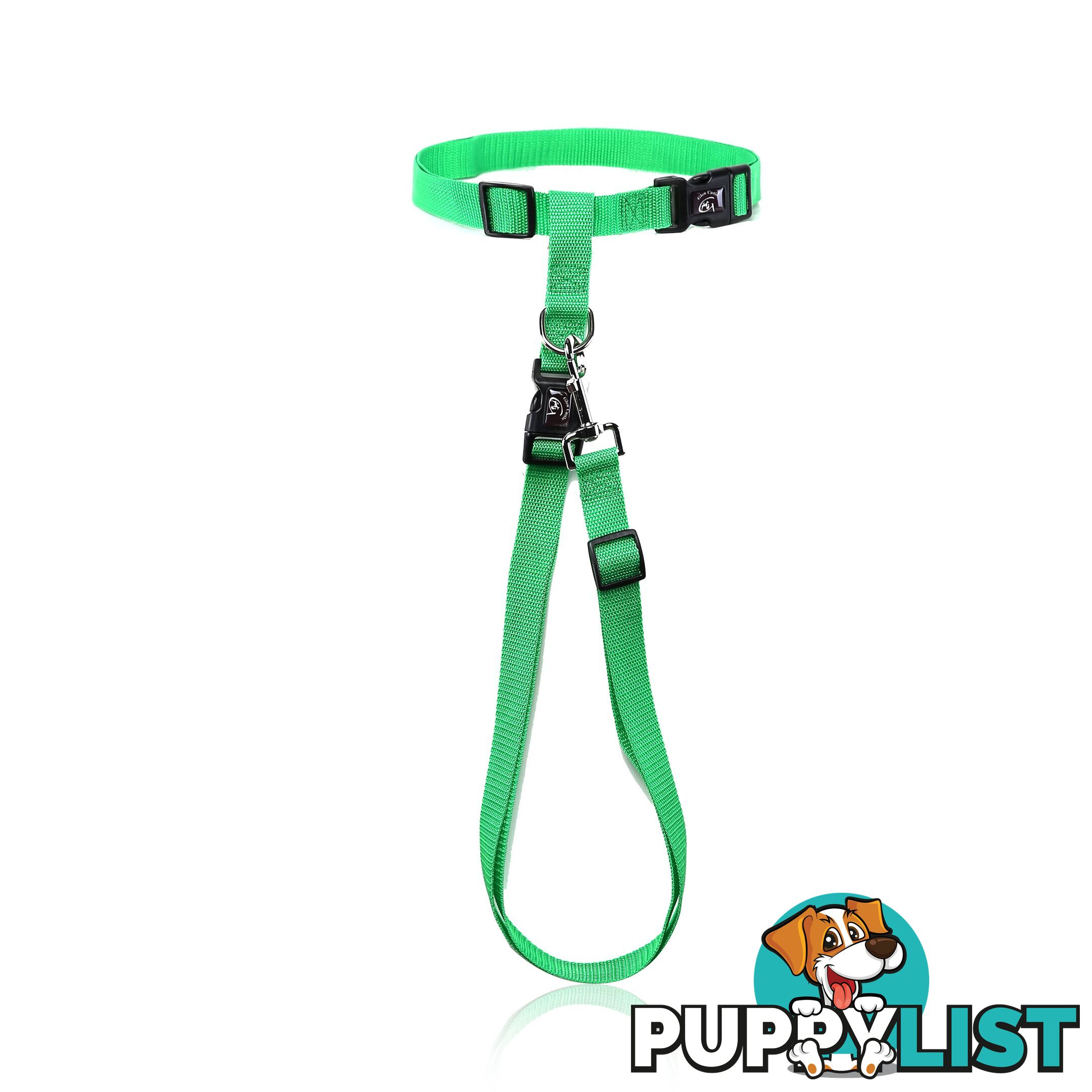 Hands Free Runner/Walker Waist Dog Leash Reflective- Moondidley Pets - MDPLDRUNPNK