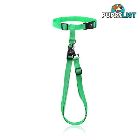Hands Free Runner/Walker Waist Dog Leash Reflective- Moondidley Pets - MDPLDRUNPNK