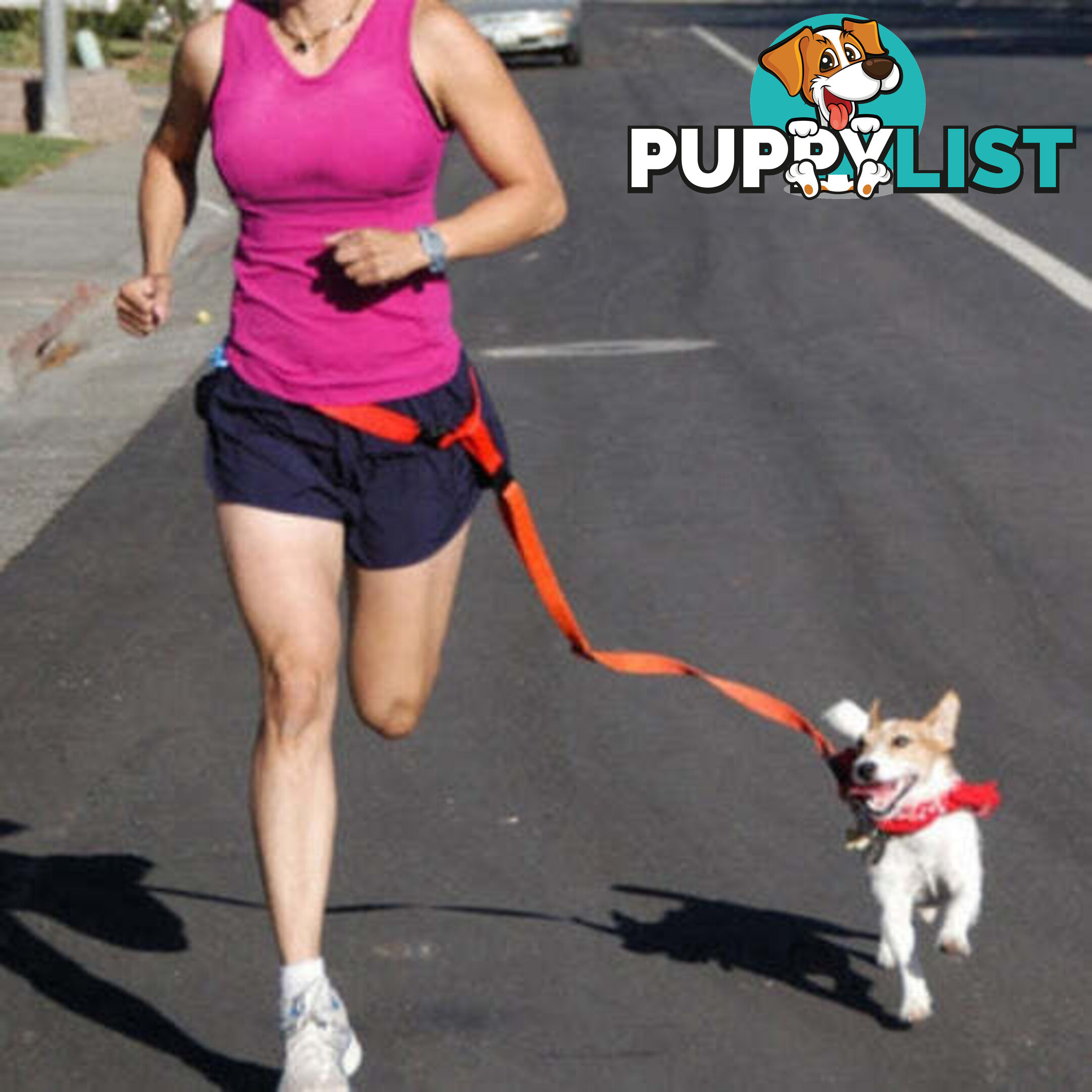 Hands Free Runner/Walker Waist Dog Leash Reflective- Moondidley Pets - MDPLDRUNPNK