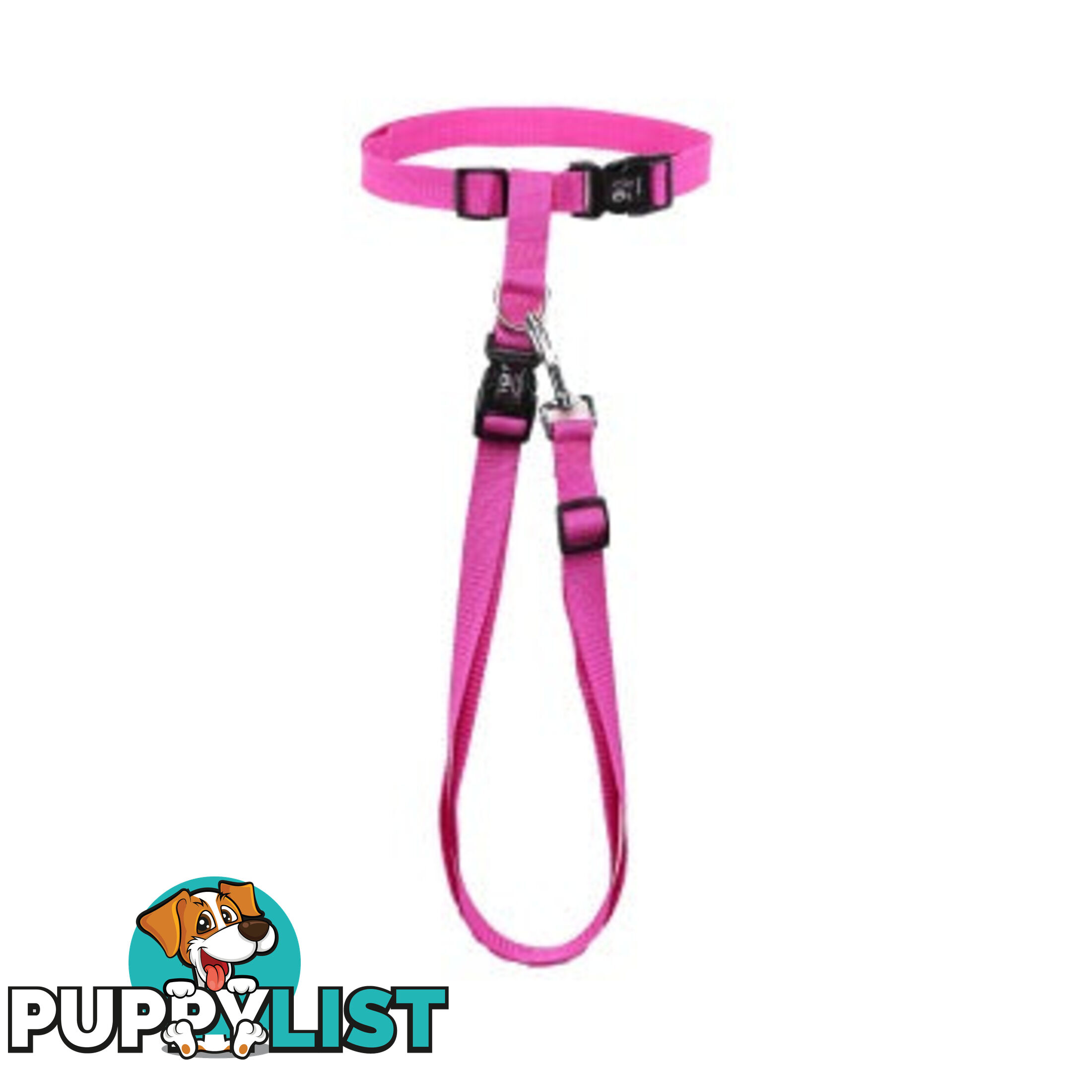 Hands Free Runner/Walker Waist Dog Leash Reflective- Moondidley Pets - MDPLDRUNPNK