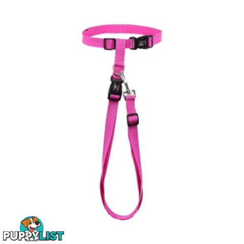 Hands Free Runner/Walker Waist Dog Leash Reflective- Moondidley Pets - MDPLDRUNPNK