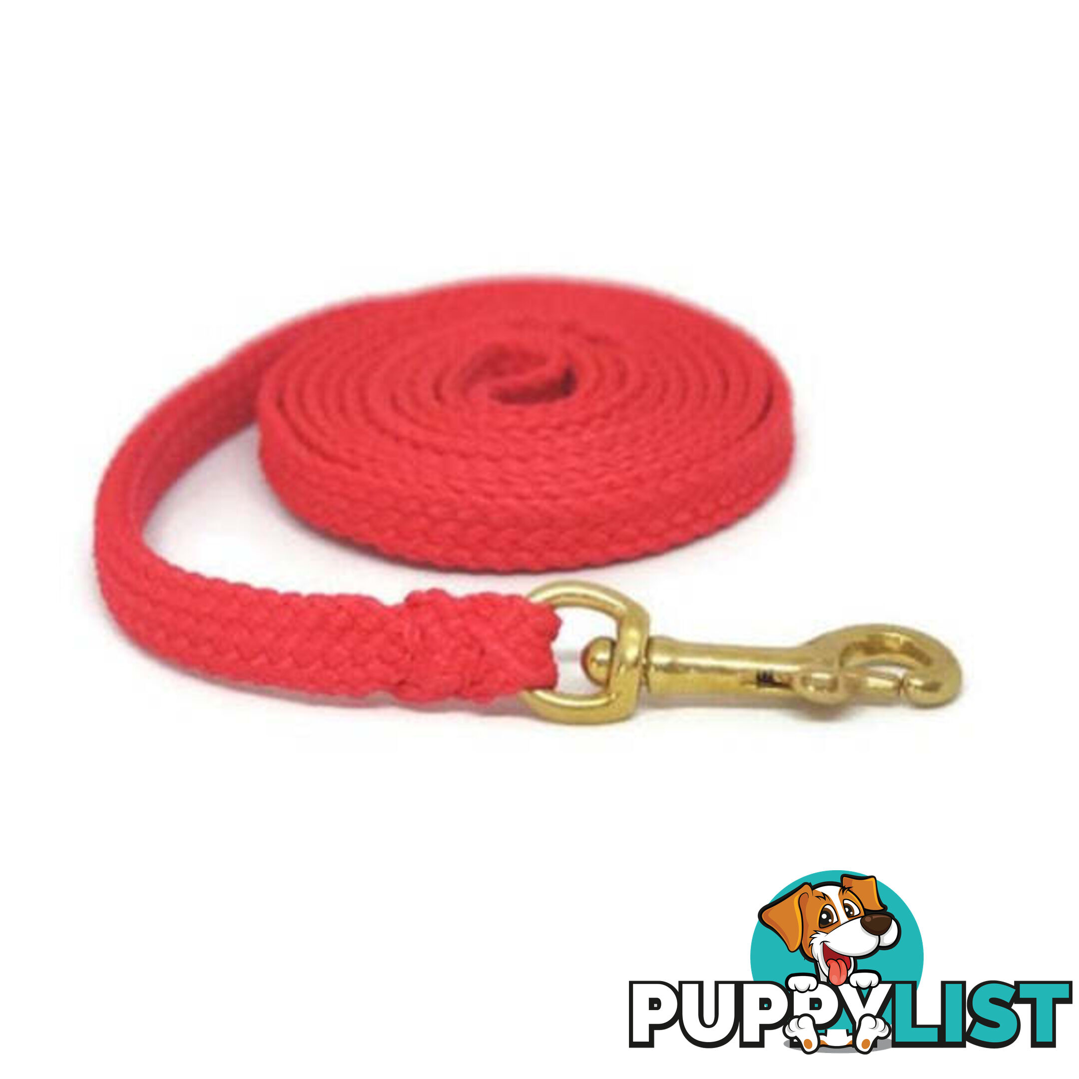 1.8m to 10m Long Dog Lead No Stitching Tough Yarnix 10mm Wide - YNXLD10-1.8-RD-SS