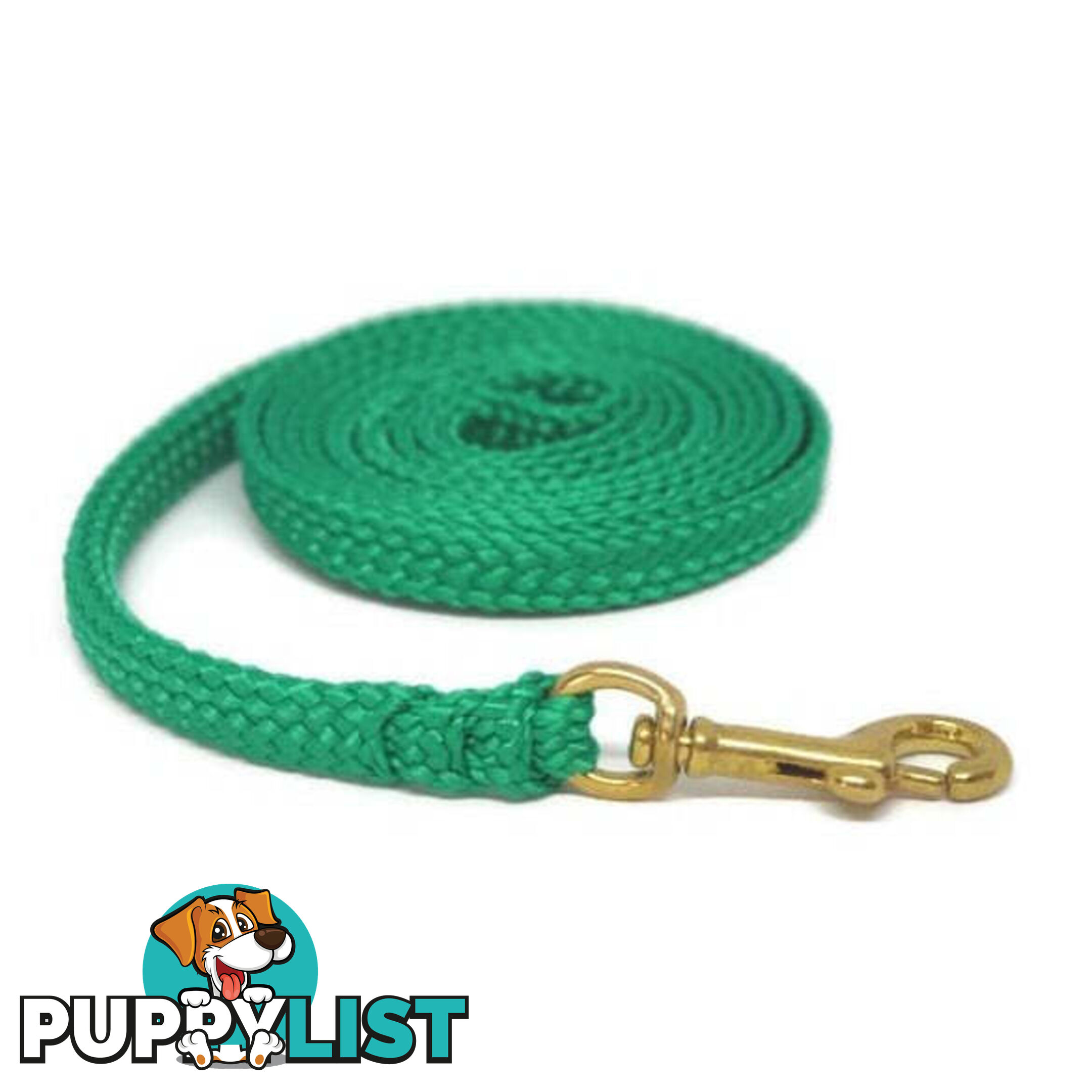 1.8m to 10m Long Dog Lead No Stitching Tough Yarnix 10mm Wide - YNXLD10-1.8-RD-SS