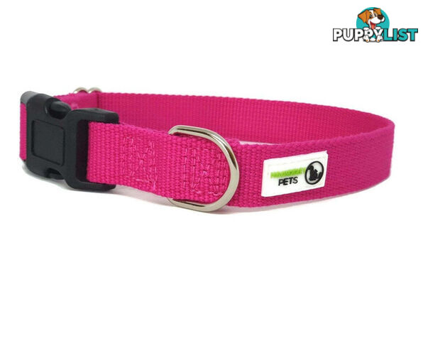 100% Pure Bamboo Fibre Dog Collar Plastic Buckle - Moondidley Pets - MDPCOLBAMSGRN