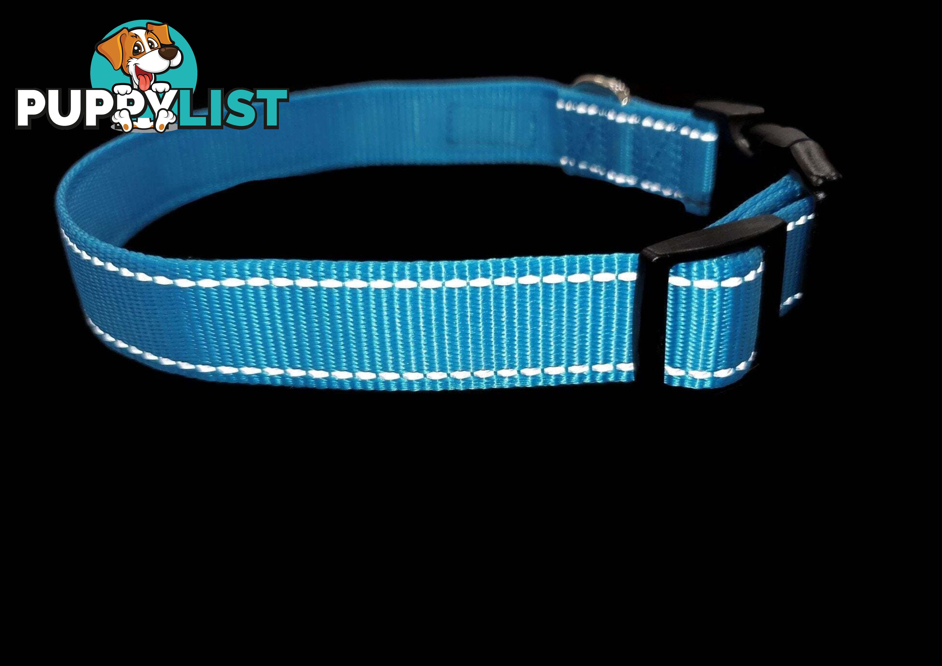 Nylon w/Reflective Stitching Dog Collar - Moondidley Pets - MDPCOLREFSPUR