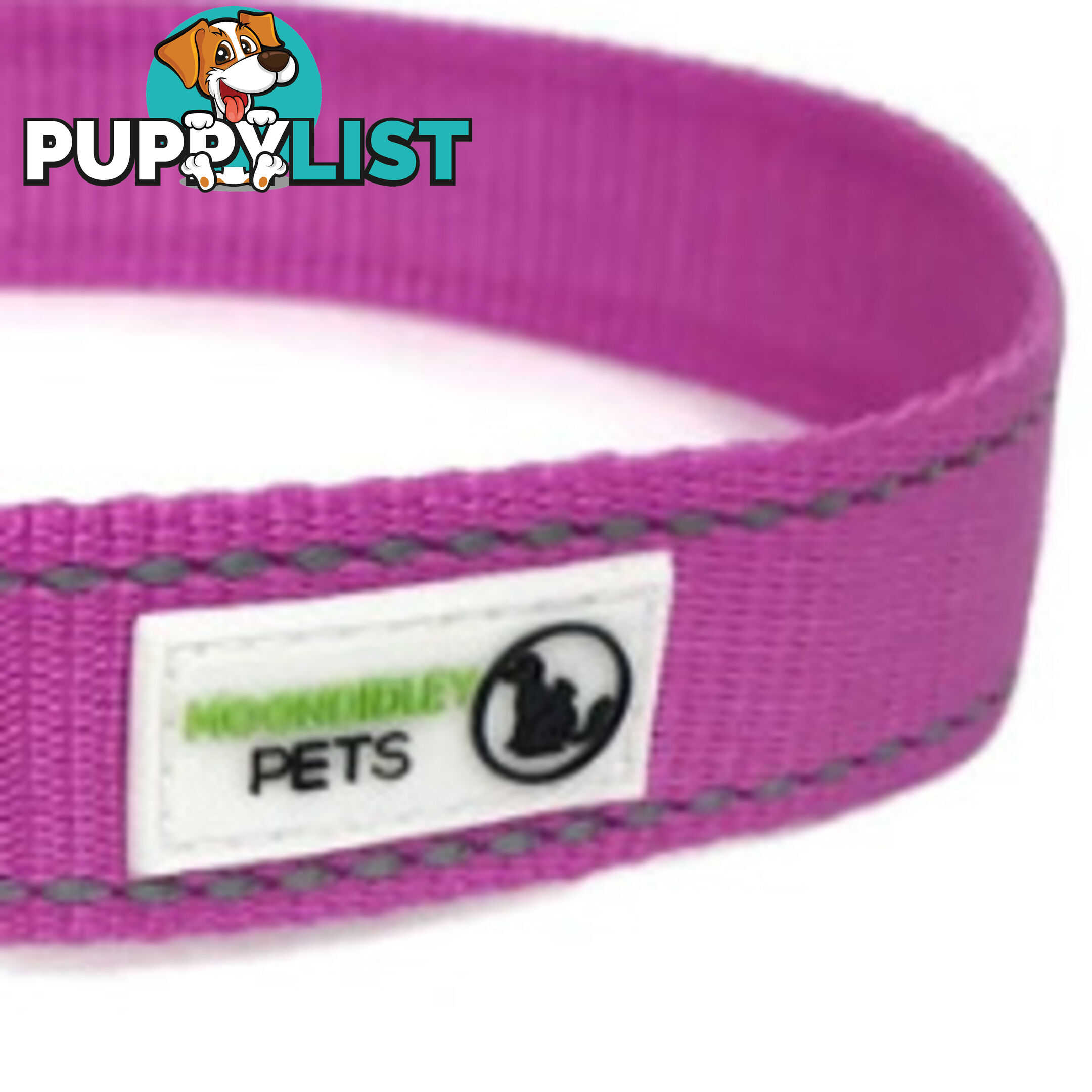Pig Harness - Moondidley Pets - MDPHARPIGTUR