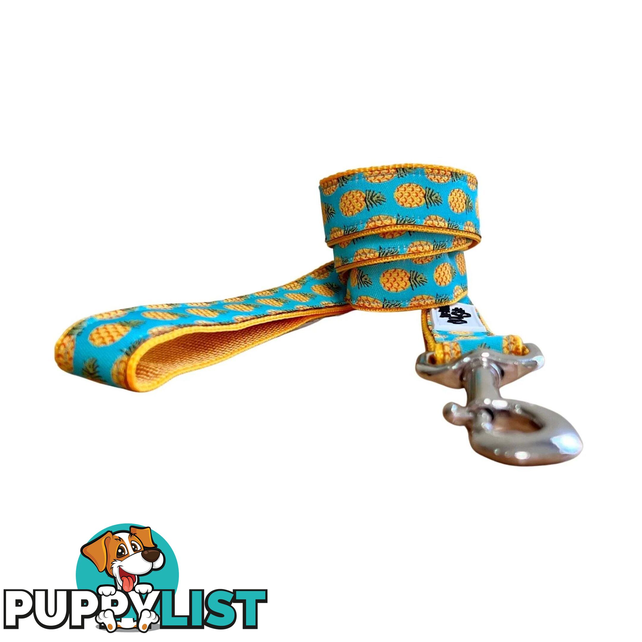 Pineapple Dog Lead - Hand Made by The Bark Side - TBSLDPINE251.8