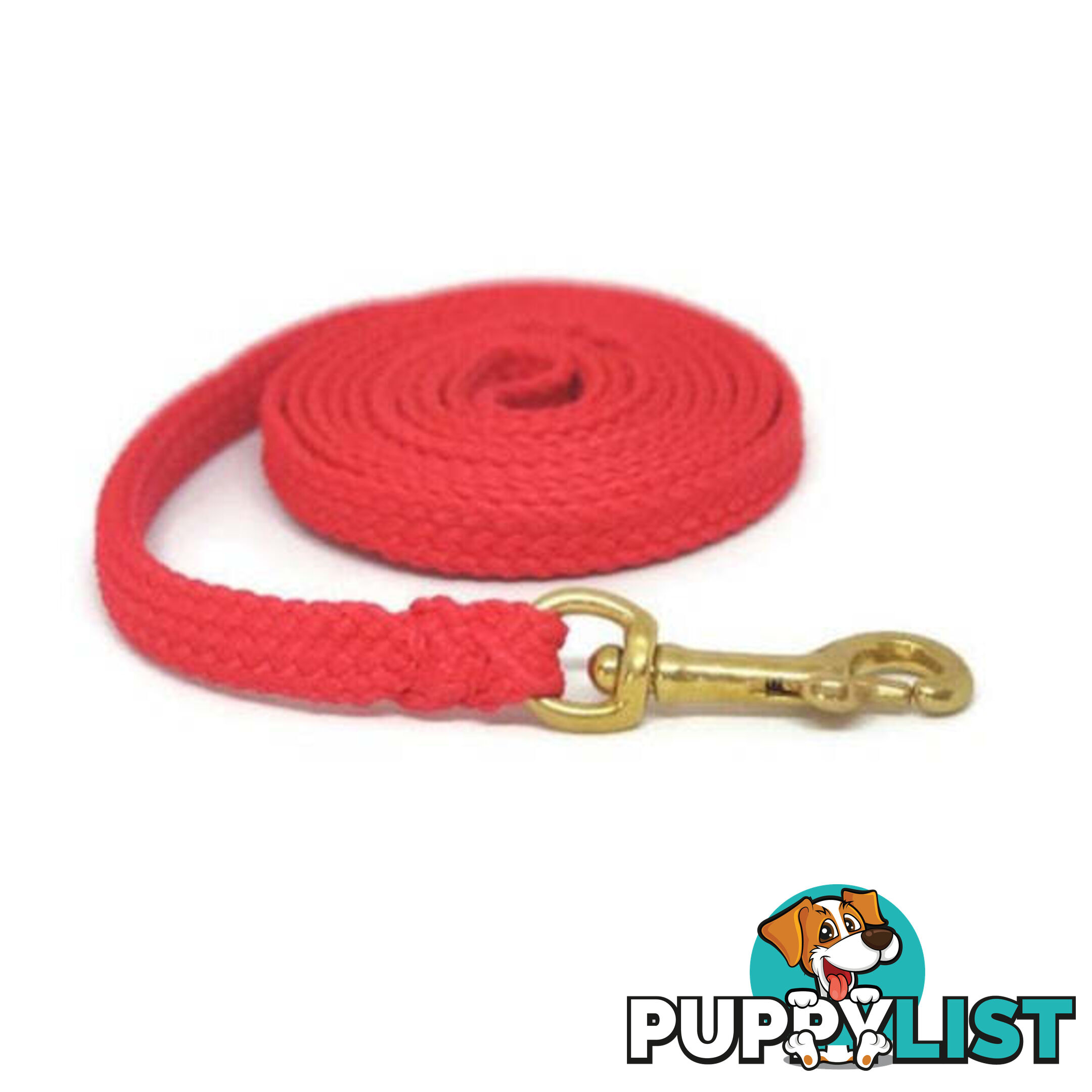 1.8m to 10m Long Dog Lead No Stitching Tough Yarnix 10mm Wide - YNXLD10-5-BL-BR