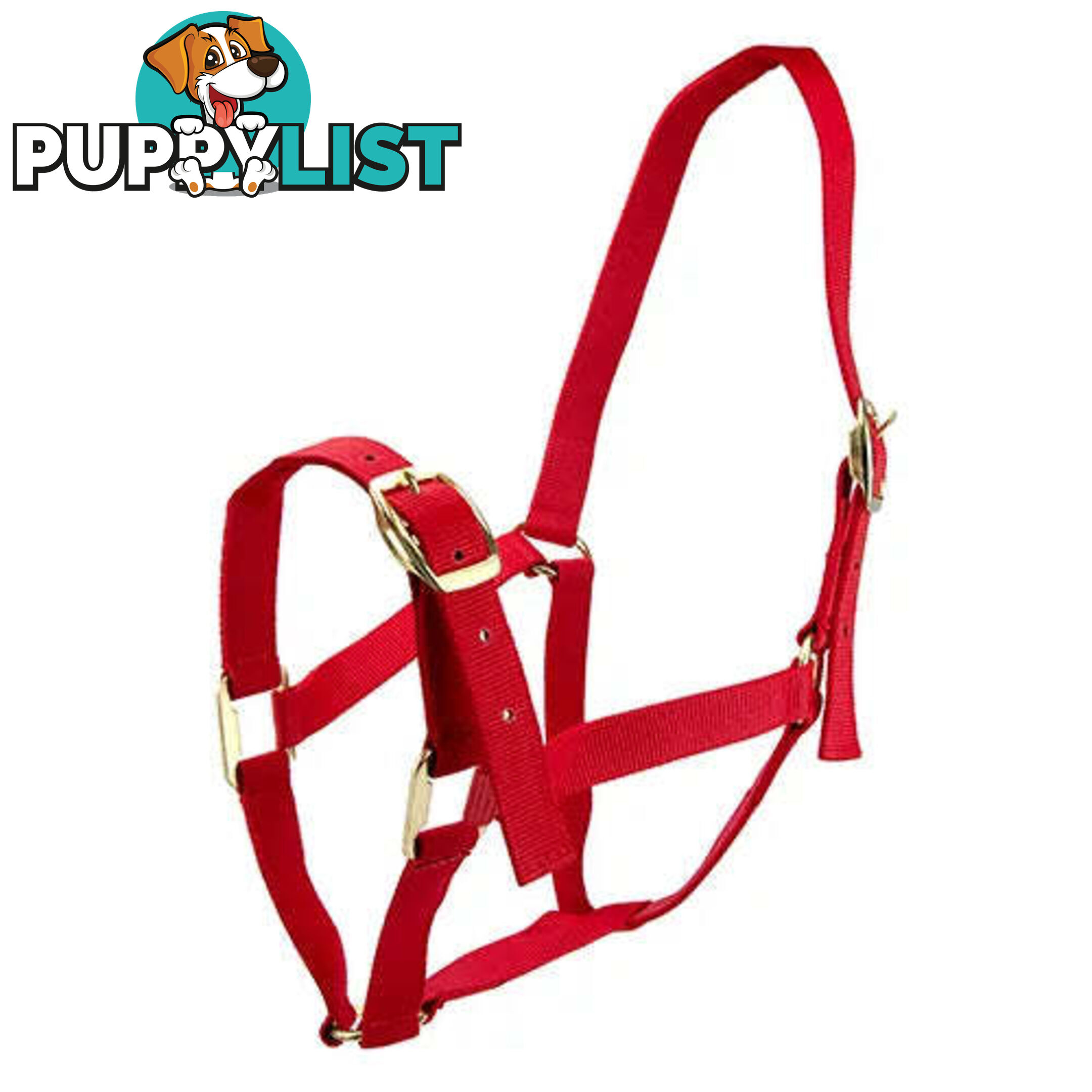 Click to Enlarge HORSE HALTERS - BAINBRIDGE - BB-A2196-PNK