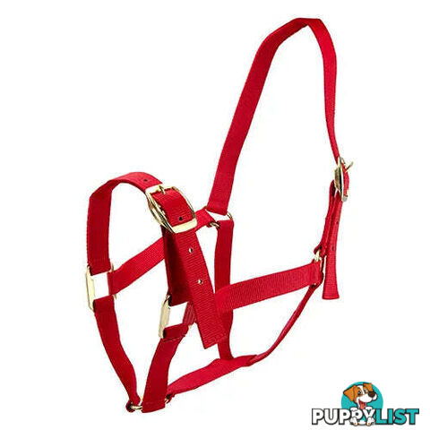 Click to Enlarge HORSE HALTERS - BAINBRIDGE - BB-A2196-PNK