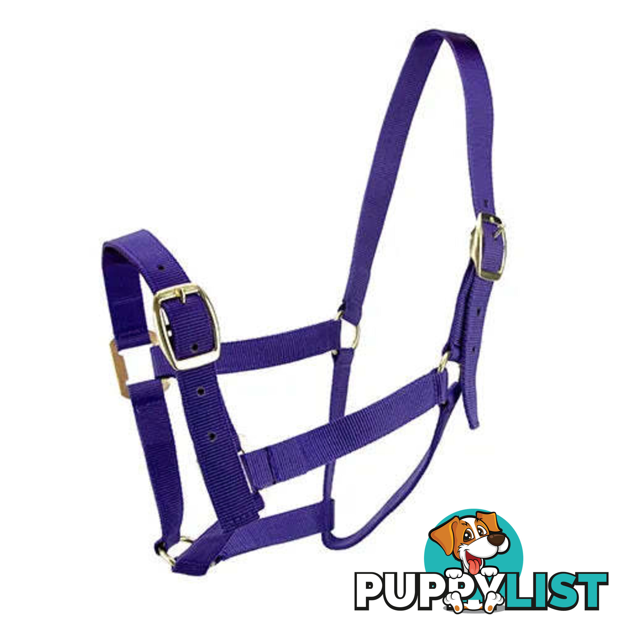 Click to Enlarge HORSE HALTERS - BAINBRIDGE - BB-A2196-PNK