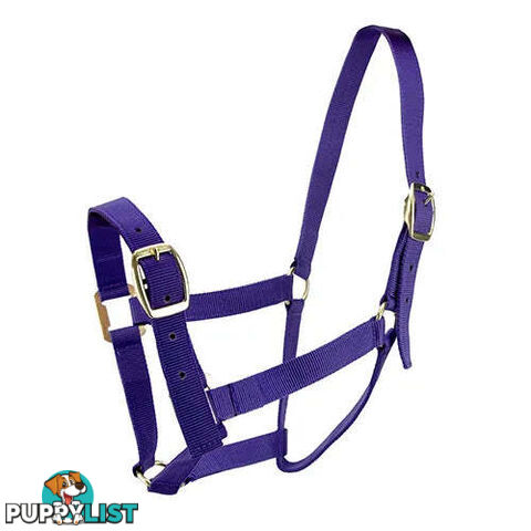 Click to Enlarge HORSE HALTERS - BAINBRIDGE - BB-A2196-PNK