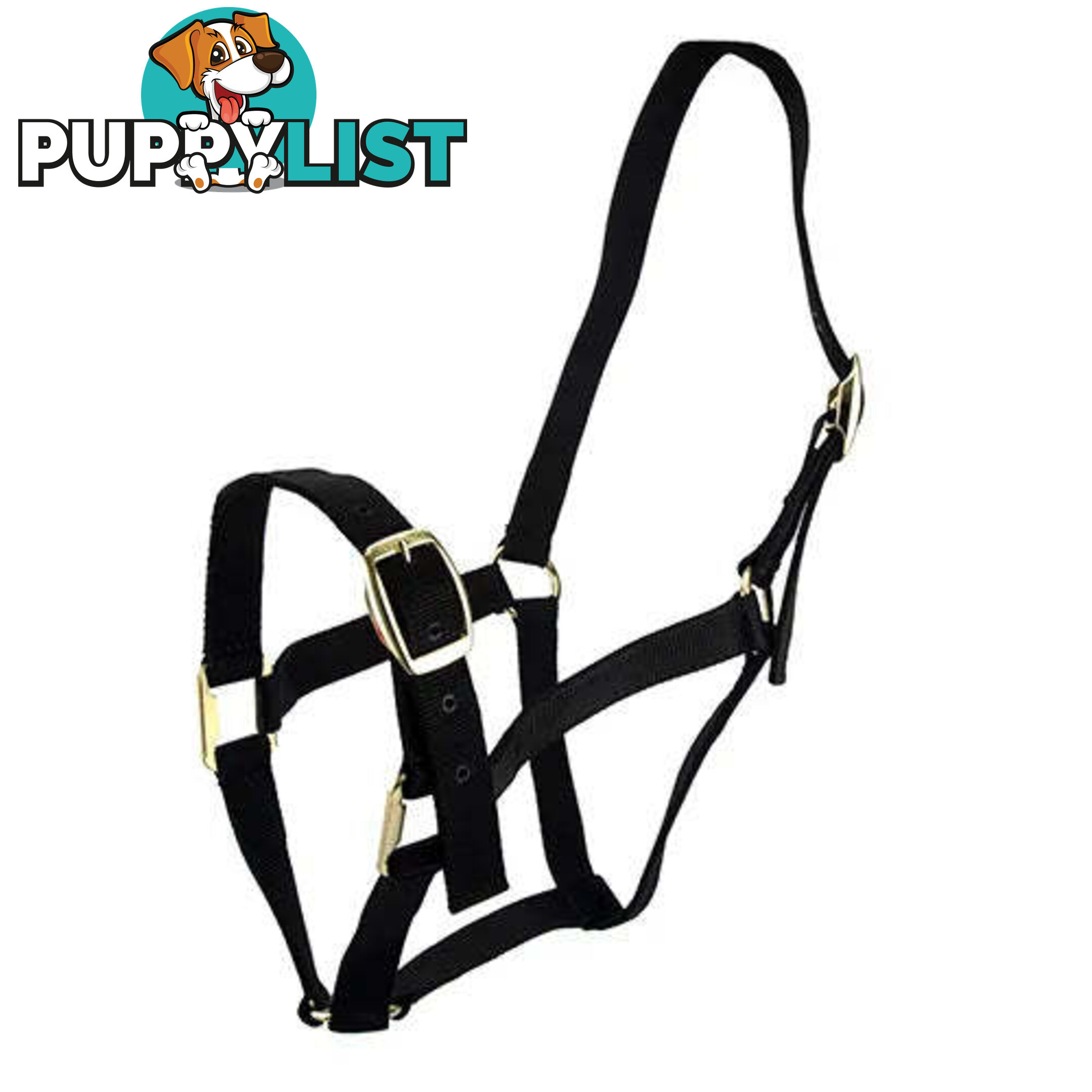 Click to Enlarge HORSE HALTERS - BAINBRIDGE - BB-A2196-PNK