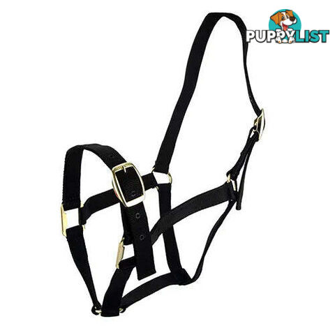 Click to Enlarge HORSE HALTERS - BAINBRIDGE - BB-A2196-PNK