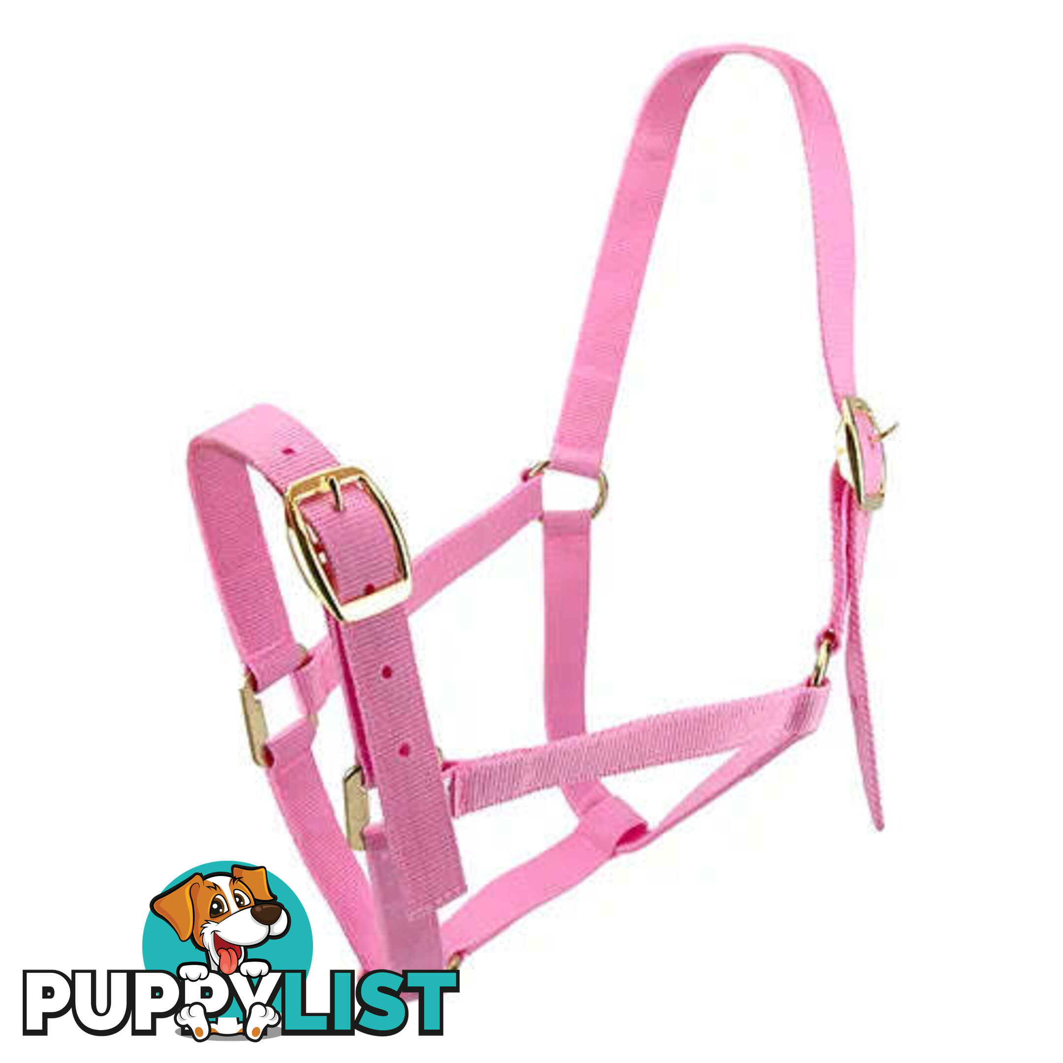 Click to Enlarge HORSE HALTERS - BAINBRIDGE - BB-A2196-PNK
