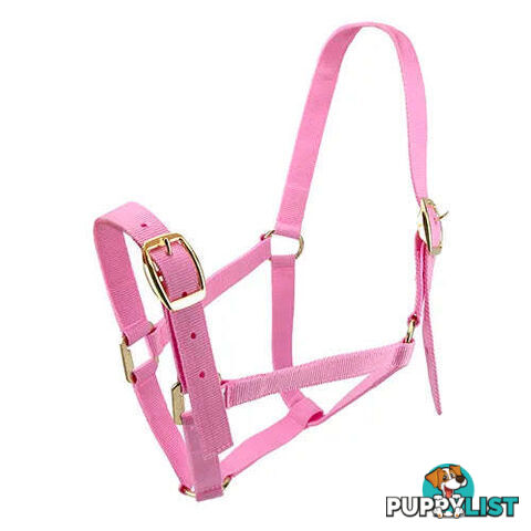 Click to Enlarge HORSE HALTERS - BAINBRIDGE - BB-A2196-PNK