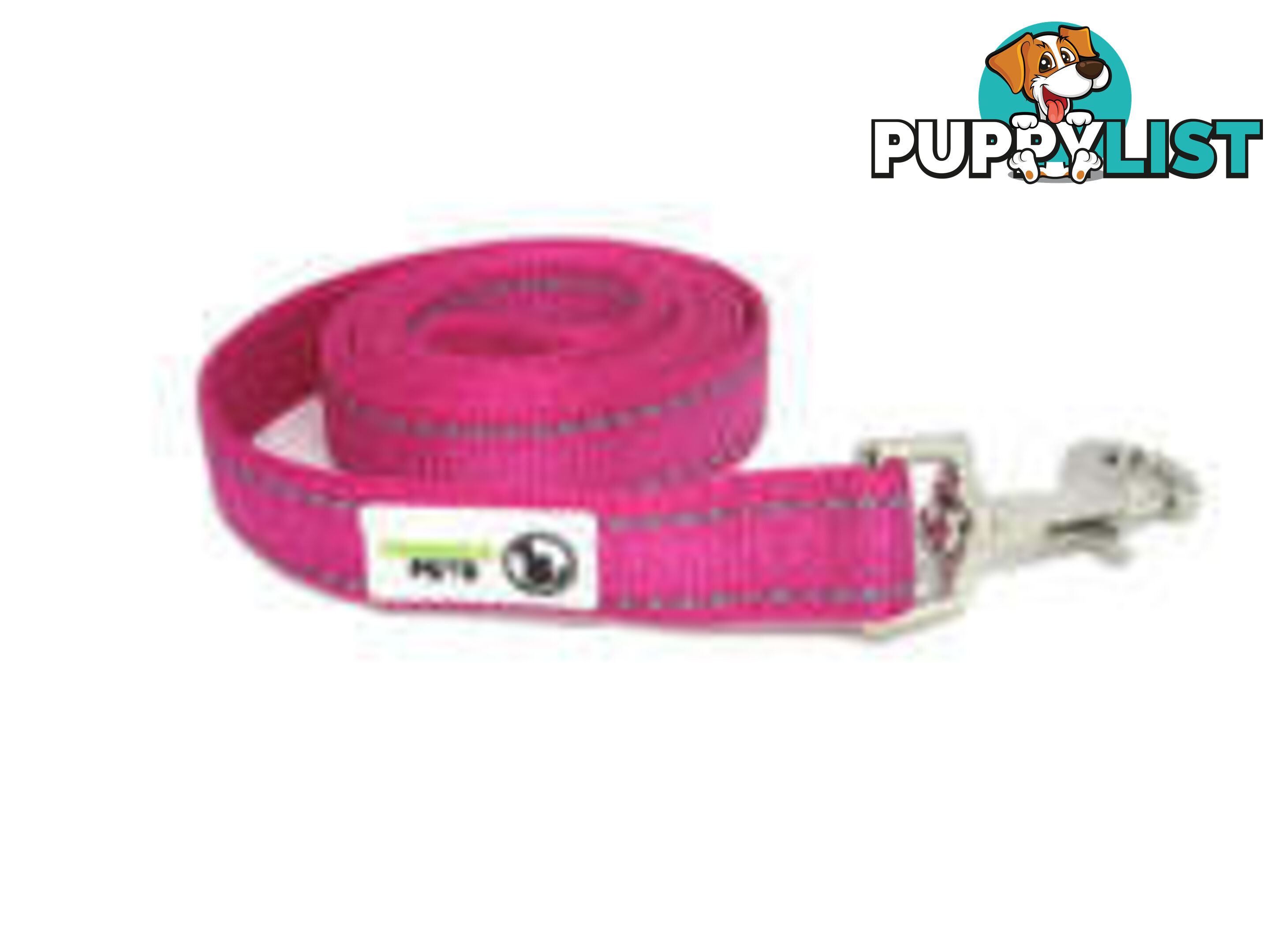 3m Long Nylon w/Reflective Stitching Dog Lead - Moondidley Pets - MDPLDREFPUR203