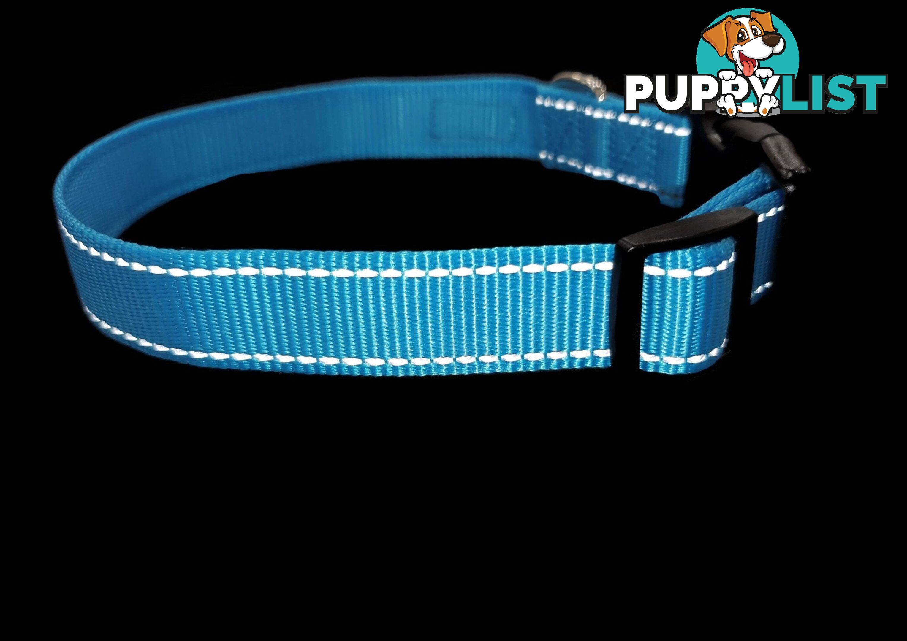 Nylon w/Reflective Stitching Dog Collar - Moondidley Pets - MDPCOLREFLLBLU