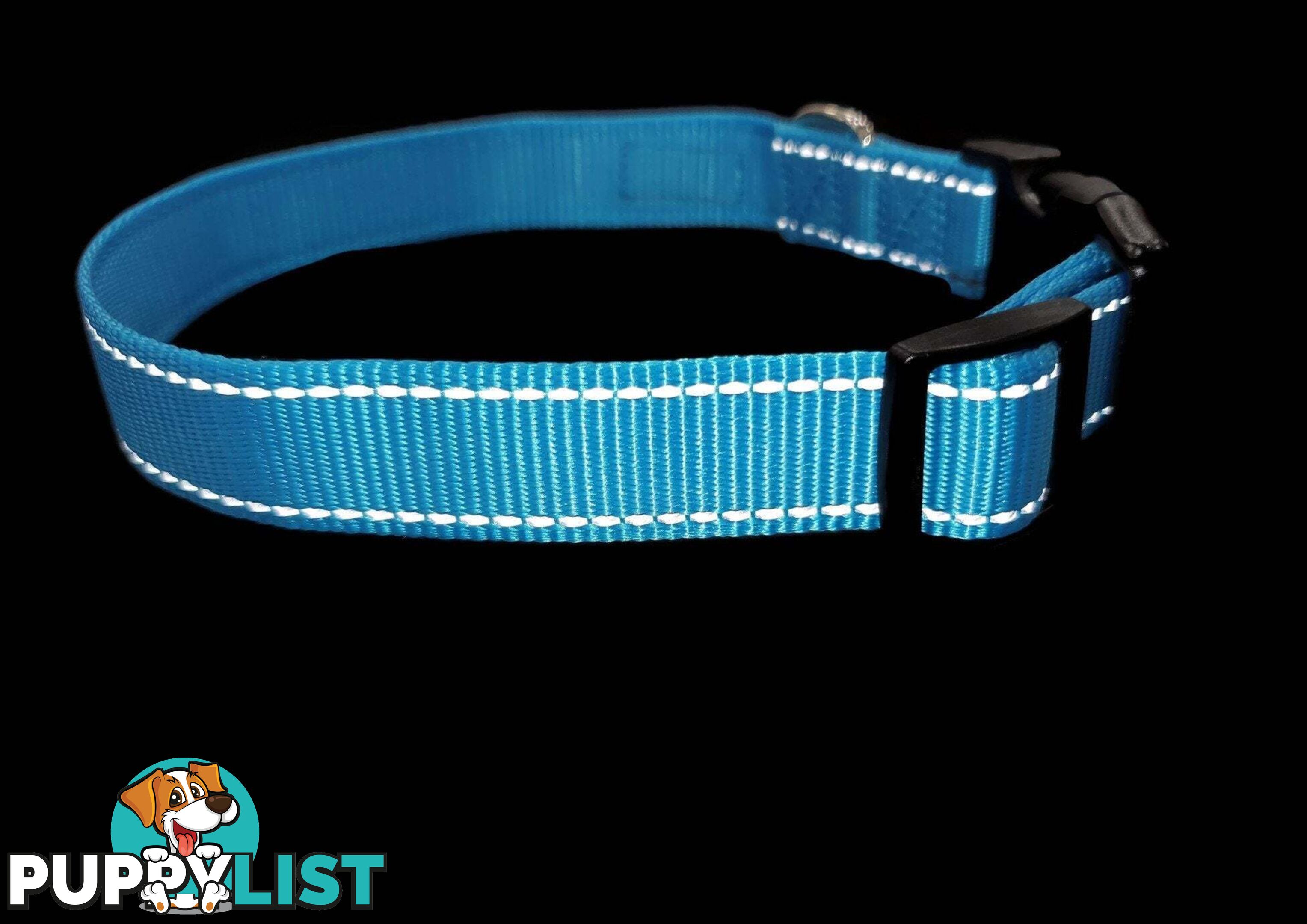 Nylon w/Reflective Stitching Dog Collar - Moondidley Pets - MDPCOLREFLLBLU