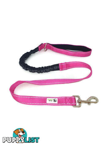 Bungee Dog Lead Nylon w/Reflective Stitching - Moondidley Pets - MDPLDBUNBLK