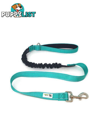 Bungee Dog Lead Nylon w/Reflective Stitching - Moondidley Pets - MDPLDBUNBLK