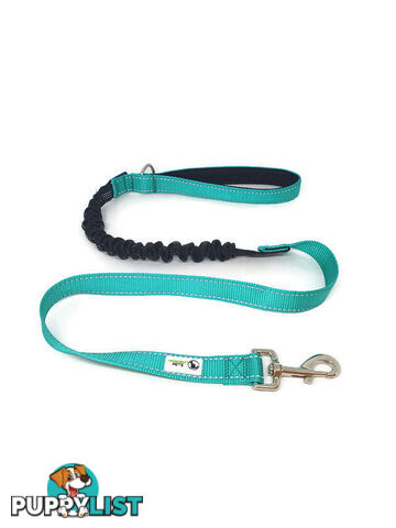 Bungee Dog Lead Nylon w/Reflective Stitching - Moondidley Pets - MDPLDBUNBLK