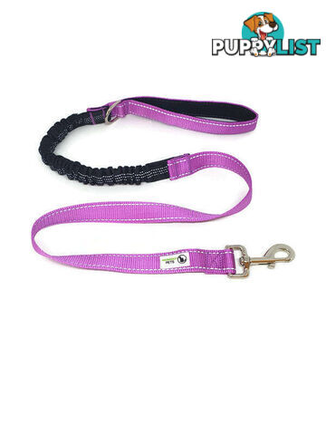 Bungee Dog Lead Nylon w/Reflective Stitching - Moondidley Pets - MDPLDBUNBLK