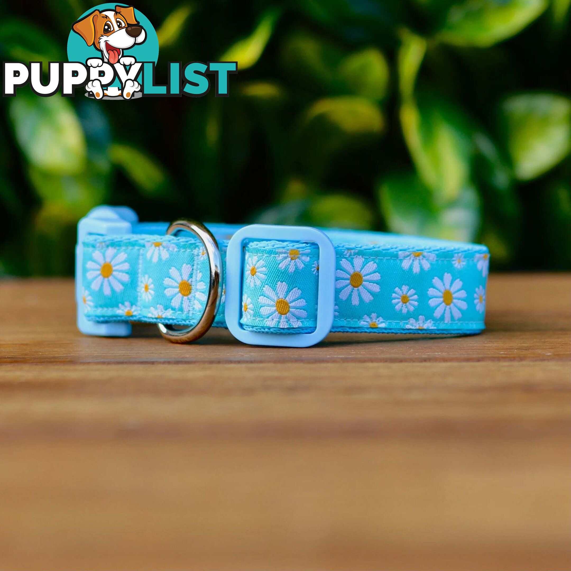 Daisy Dog Collar -  Hand Made by The Bark Side - TBSDAIXSBLU