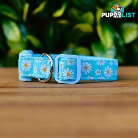 Daisy Dog Collar -  Hand Made by The Bark Side - TBSDAIXSBLU