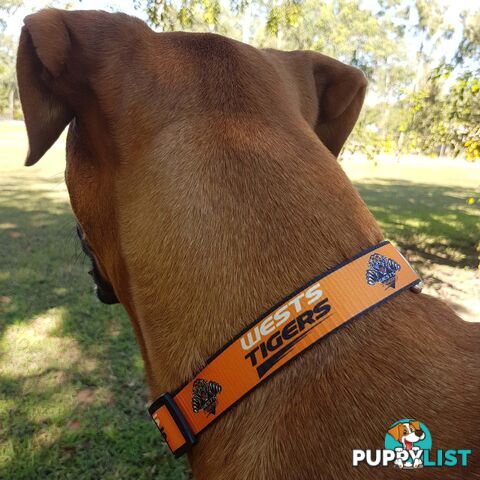 Dog Collars - NRL Footy Pets - FP-COL-S-ROO