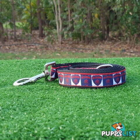 AFL Dog Leads, Footy - Aussie Rules - Moondidley Pets - MDPLDAFLGOSU