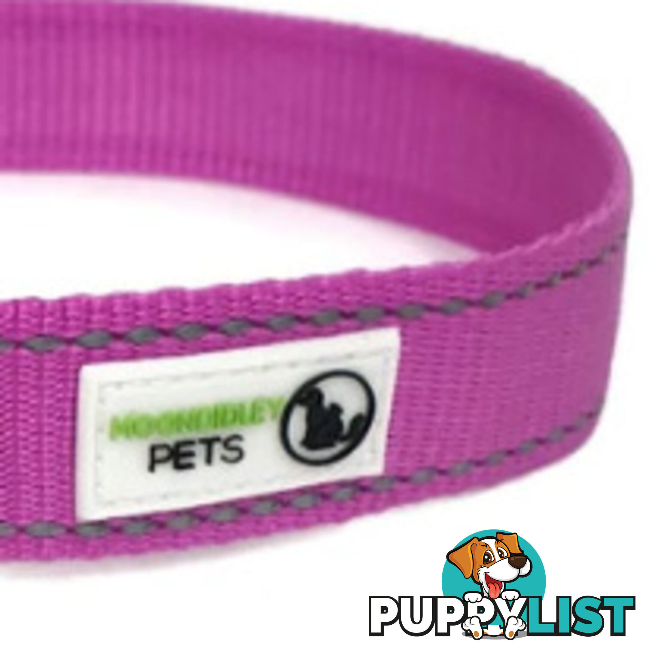 Pig Harness - Moondidley Pets - MDPHARPIGLBLU