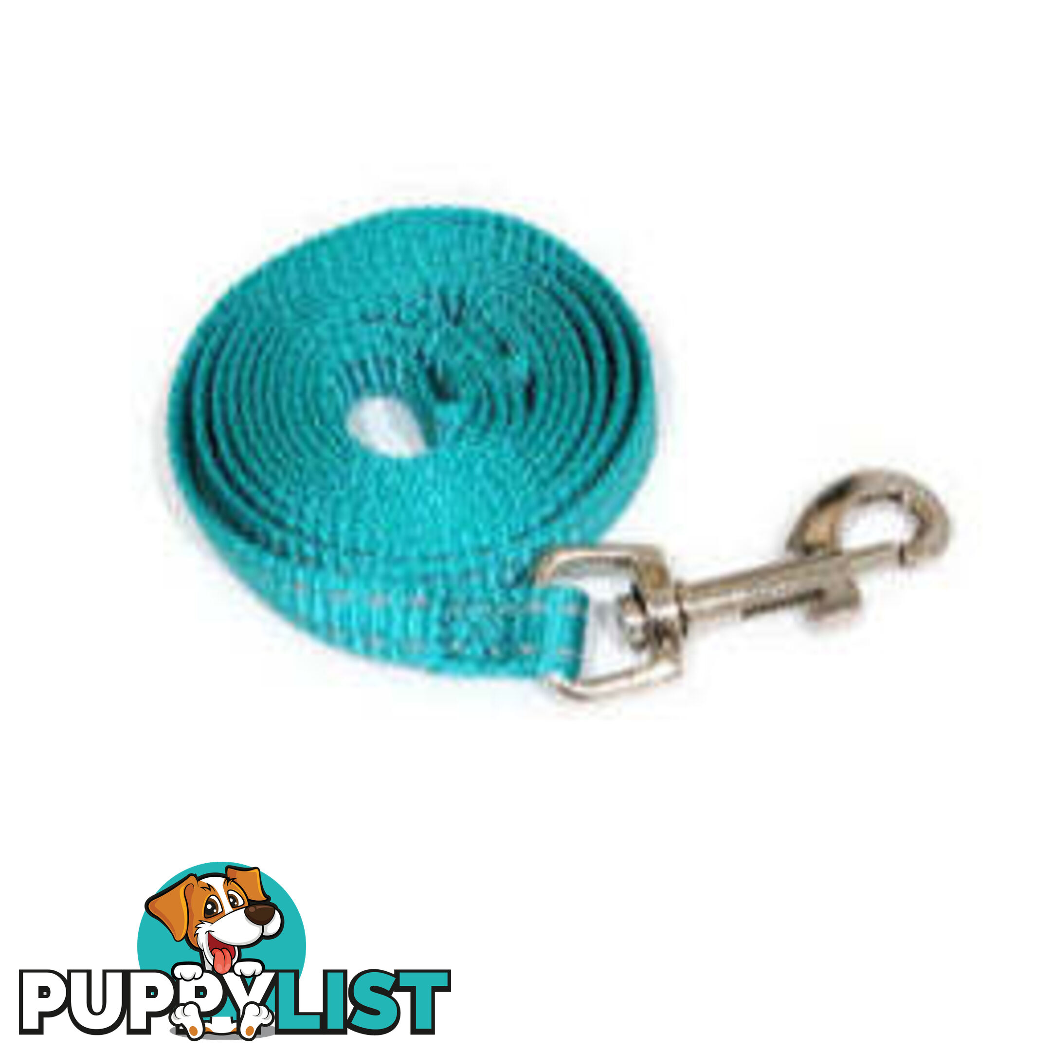 Lead Puppy / Cat Reflective- Moondidley Pets - MDPLDPUPTUR