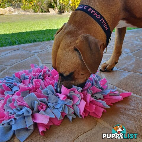 Snuffle Mats - Premium Heavy Duty Rubber Based - Pet Treat Play - Calms Anxiety - Slow Feeder - SNUFFLE-MED-REBL
