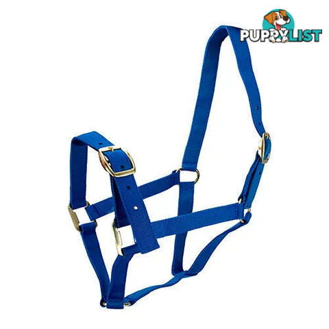 Click to Enlarge HORSE HALTERS - BAINBRIDGE - BB-A2202-BLU