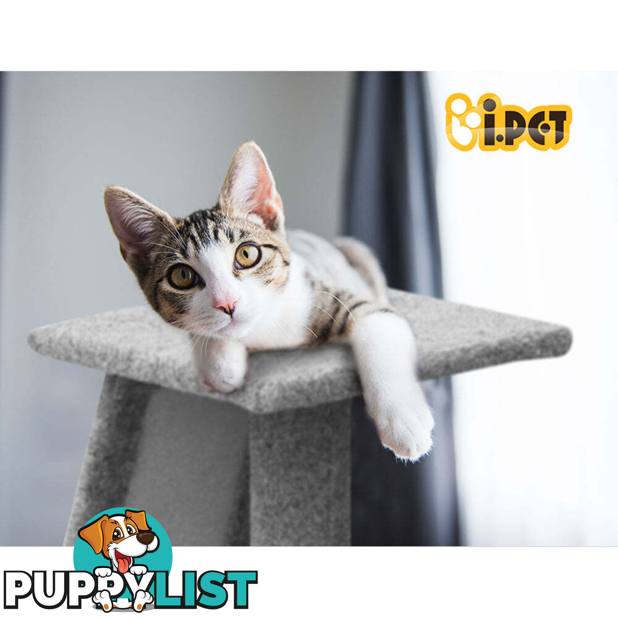 i.Pet Cat Tree 82cm Scratching Post Tower Scratcher Condo Trees Climb House - PET-CAT-CP002-GR