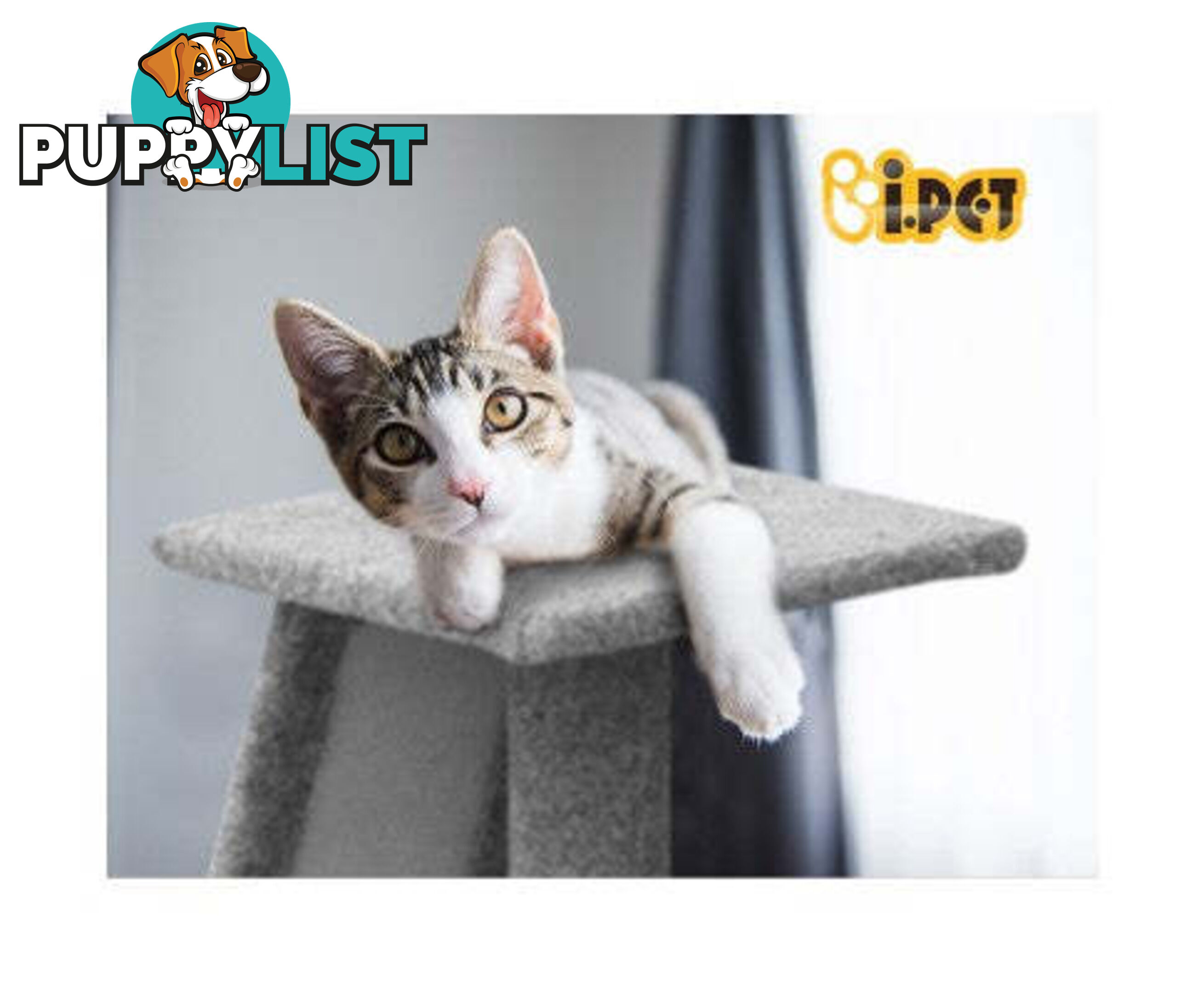 i.Pet Cat Tree 82cm Scratching Post Tower Scratcher Condo Trees Climb House - PET-CAT-CP002-GR