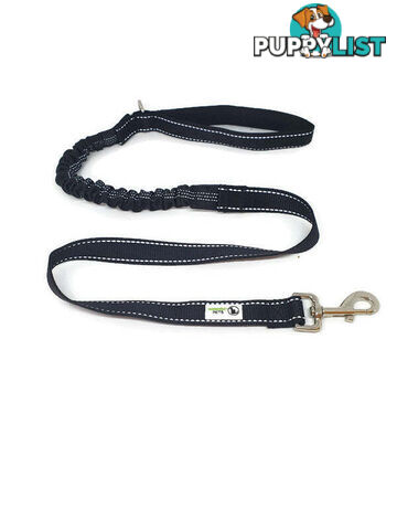 Bungee Dog Lead Nylon w/Reflective Stitching - Moondidley Pets - MDPLDBUNTQ