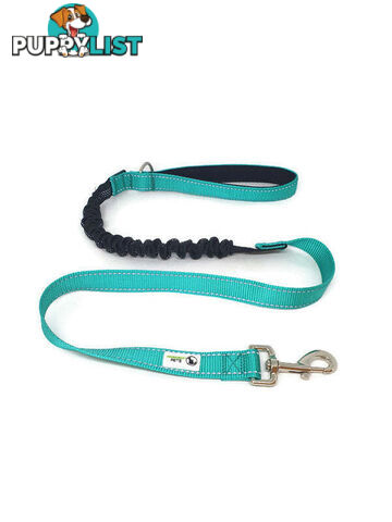 Bungee Dog Lead Nylon w/Reflective Stitching - Moondidley Pets - MDPLDBUNTQ