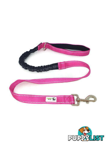 Bungee Dog Lead Nylon w/Reflective Stitching - Moondidley Pets - MDPLDBUNTQ